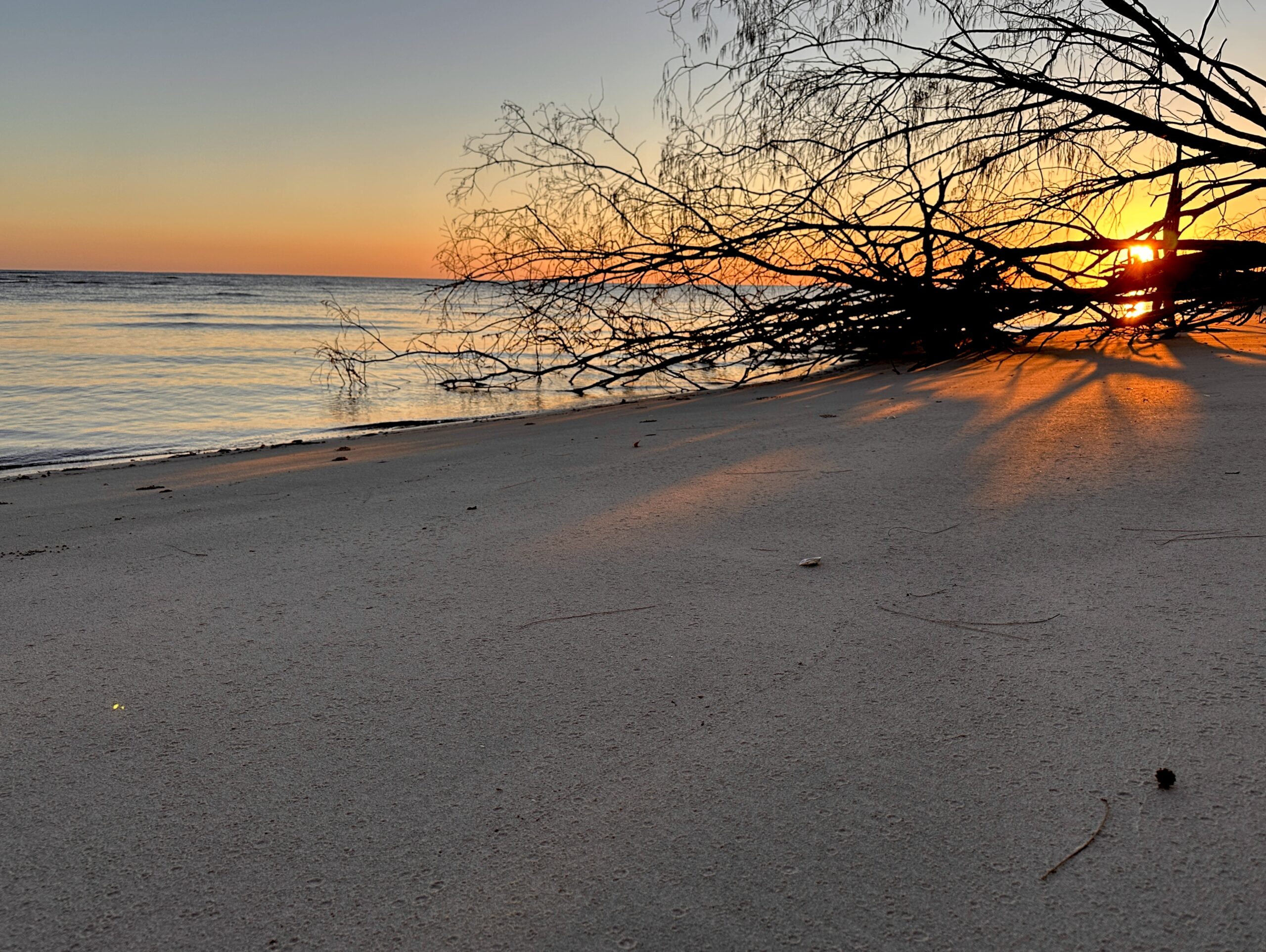 The "Stopped For A While" Podcast Back Yard